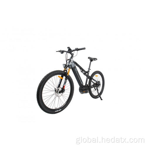 China Multi-spec electric mountain bike Manufactory